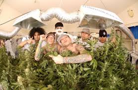 Kottonmouth Kings Image peep this!!! « SAGeyes… Picture 2