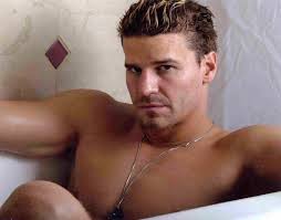Image <b>David Boreanaz</b> on Rachael Ray. Picture