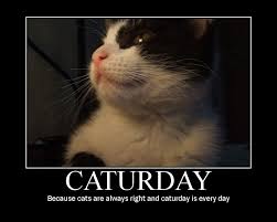 caturday pronunciation