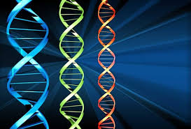 Click here for Family Tree DNA�s 