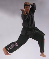 Martial Arts Techniques of