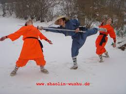 Shaolin Kung Fu training of foreign