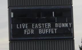 Evidently the bunny is going to be