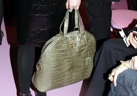 Image Yves Saint Laurent “Muse†Picture