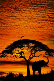 African Skies Art Print