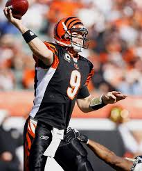 Carson Palmer