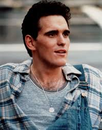 Image US film star Matt Dillon Picture