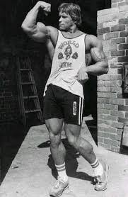 Image <b>arnold schwarzenegger</b> images Picture