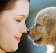 Organic bedding for pets too!