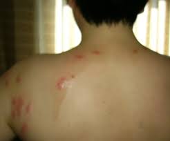 20070507_7d24539b34e50f72efd6yW2P526 ... (www.baixi.org.cn)