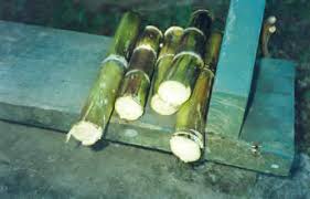 Sugar Cane Preparation