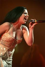 Amy Lee Picture 1