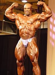 Male Bodybuilders brought to you by