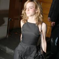 Image <b>Emma Watson</b> Pretty Young Star Picture