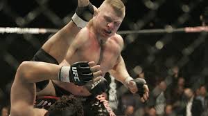 MMA neophyte Brock Lesnar hopes to 