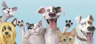 Report a missing pet or