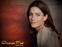 Image <b>Amanda</b> <b>Amanda Peet</b> Picture