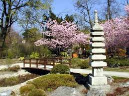 Japanese Garden Setagaya Park