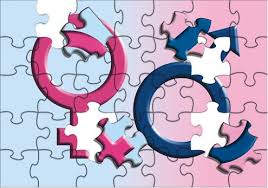 INTERSEX C 304 NSEL GEL 304 350 304 M KUSURLARI