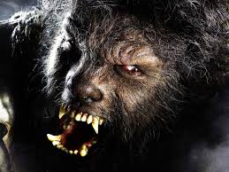 wallpapers The Wolf Man