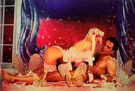 In The History of Sexuality Michel