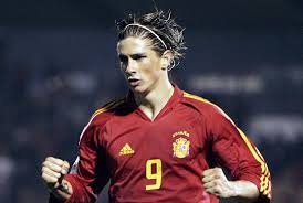 Fernando Torres Picture 1