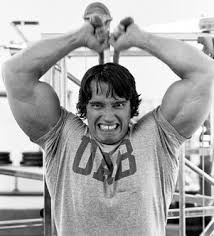 Image 15 <b>arnold</b> <b>schwarzenegger</b> Picture