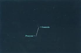 of the constellation Canis Minor