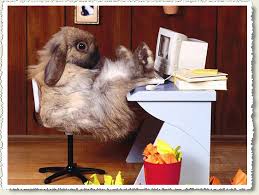 Easter Bunny Hard at Work
