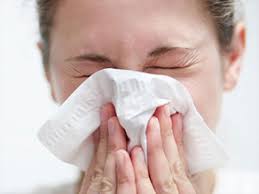 Avoiding Allergy Triggers