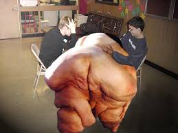 this fat ass hahahhahahahhahah