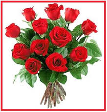 One dozen Exquisite roses