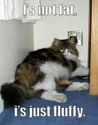 i s not fat i s just fluffy