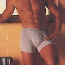 Champion Boxer Brief Underwear