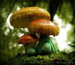 3389108144_8837ffc44d_o.jpg (blog.udn.com)