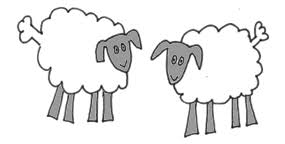 ewes.gif