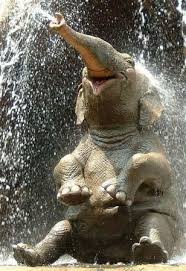 See also Zoo Poo Power Elephant