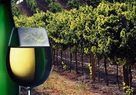 Temecula Valley Wine Country – Touring four Wineries