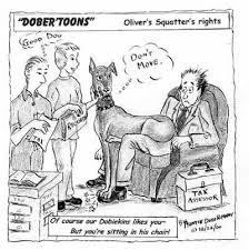 Dobbie Toons Funny dailey cartoons