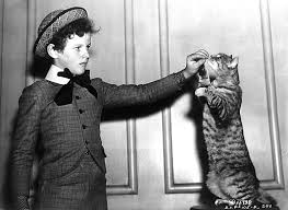 Tommy Kelly and the cat
