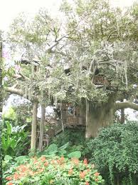The Swiss Family Robinson Treehouse