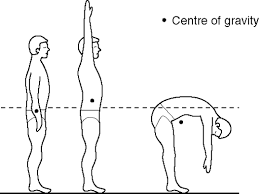 The centre of gravity of a