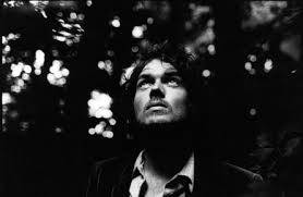 Damien Rice Picture 1