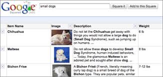 20090513-google-squared-3.png (google.org.cn)