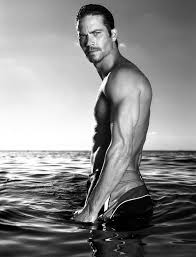 Image <b>Paul Walker</b> denies engagement <b>...</b> Picture