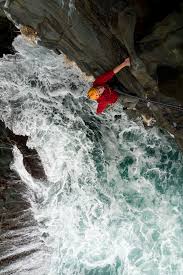 Image from Google