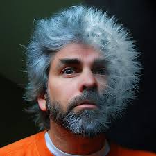 are strong enough to stand on