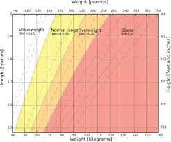 Body Mass Index Graph