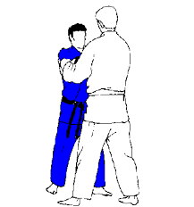 Judo Techniques (judo-mirambeau.fr)