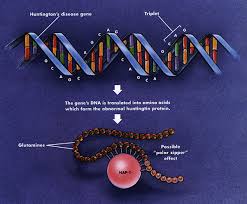 of the disease�s pathophysiology